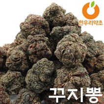 꾸지뽕 구찌뽕 열매 효능 건조 먹는법 효능, 꾸지뽕열매300g