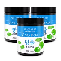 퓨어영 병풀 추출물 분말 300g 호랑이풀 고투콜라, 3통