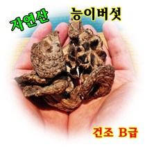 자연산 능이버섯 건조B급 100g, 1개
