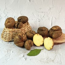 [미식한가] 못생겨도 맛있는 제주 구좌 파지 못난이 감자 (특-왕특품), 못난이 파지 감자 10kg (특-왕특품)