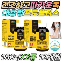 식약처인증 대용량 프로폴리스 산화방지 안티에이징 어린이 청소년 성장기 아기 아이 중학생 고등학생 면역력 영양제 비글루 폴리페놀 플라보노이드 이뮨 이문 10대 주니어 어린이 필수