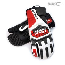 루디스 21/22 National Team 알파인 스키 스노보드 레이싱용 가죽 삼지 장갑 LGM4022 (정가대비 20%OFF+15%쿠폰), WT