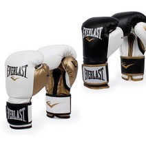 에버라스트 복싱 권투 글러브 (파워락 트레이닝) 10 12 14온스, 블루