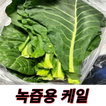 국내산 케일 녹즙용 즙용 1kg 아삭하고 싱싱하고 파릇파릇한 녹즙용 케일 산지직송 당일수확 신선한 캐일 농장직송 국산, 케일(녹즙용)1Kg