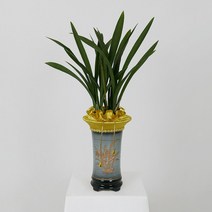 산천보세 사기분