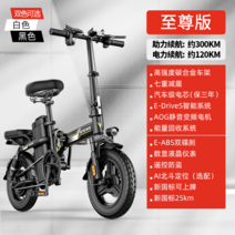 장거리 주행용 전기자전거 200KM 400KM 전동 전자 프리미엄 수입 휴대용 접이식, 7중충격완화보조300KM자동차