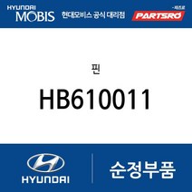 핀 (HB610011) 갤로퍼 갤로퍼 이노베이션