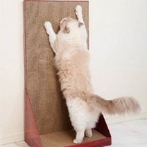 가리가리 월플러스 와이드 고양이 스크래처, 혼합색상, 1개