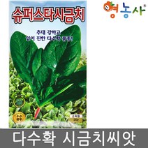 슈퍼스타 시금치씨앗 20g, 단품