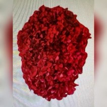 뉴 프리저브드 수국 수입수국 안나수국 ( 진빨강 중국 ) 풍성한 DIY꽃 인테리어 장식 말린꽃 고급프리저브드 프리미엄수국