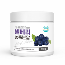 빌베리 농축 분말 250g 1병 가루 베리쥬스 주스 만들기 에이드 시원한차 냉차 온차 샐러드 소스 활용 레시피 열매 원재료 먹는법 요거트 우유 따뜻한차 카페 손님 접대 후식 티타임, 1개, 빌베리농축분말 250g 병
