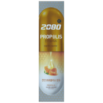 2080 K 진지발리스 프로폴리스 치약, 150g, 3개