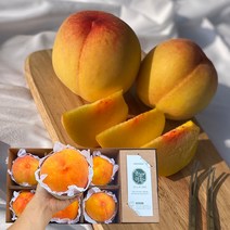 영주 황도 복숭아 선물세트 1.8kg ~ 3kg 양홍장 복숭아 영주 복숭아 쫀득복숭아 꿀복숭아 물복 숭아 망고복숭아 남자친구 부모님 추석선물 세트 추석 과일선물 세트 선물용과일, 대과, 3kg 9과 내외