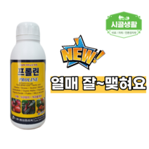 [시골생활 비료] 아미노산제 프롤린 500ml 수정 촉진제 낙화 낙과 예방 방지제 착과 고추 오이 복숭아 자두 딸기 비료