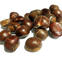 햇약단밤 1KG 칼집O 밤 밤효능 약단밤 밤삶는법 군밤