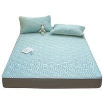 Blossom Bliss 매트리스 쿨패드 세트 퀸사이즈 여름 침구, 라이트 블루