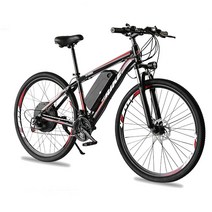 FRIKE 29인치 변속 전기자전거 48V 1000W PAS 스로틀 겸용 리튬전지 MTB자전거 88E6, 블랙+레드