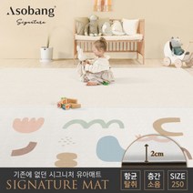 [아소방] 시그니처 유아 놀이방매트 어도러블 250 (250x150x2cm), 상세 설명 참조