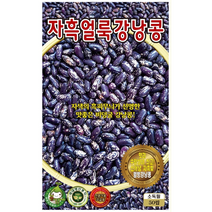 자흑얼룩 강낭콩씨앗50립 KS종묘 자색의 흑피무늬가 선명한 맛좋은 비덩굴 강낭콩