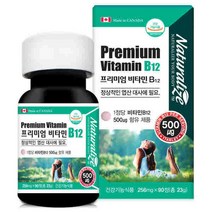 네추럴라이즈 프리미엄 비타민B12 500ug 단일성분 하루1정 90일분 캐나다 권장량 고농축 보충제 우리가족 활력 영양제 스트레스완화 해소 채식주의자 식약처인증 건강기능식품 추천, 90정, 256mg