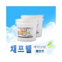 라온쇼핑(RO) 벽지페인트 결로 세균곰팡이제거방지 실내공기정화 천연페인트 채프웰 수성 용, 핸디퍼티실내용빠데5kg