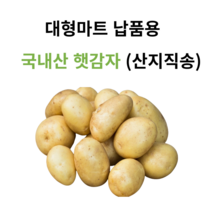 [청년마켓] 23년 포근포근 국내산 햇 수미 감자 3kg 5kg 10kg, 03. 10kg 대 (마트납품용), 1박스