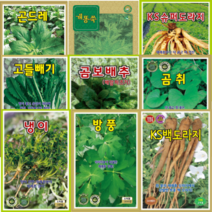 개똥쑥씨앗 고들빼기씨앗 곤드레씨앗 곰보배추씨앗 곰취씨앗 냉이씨앗 방풍씨앗 백하수오씨앗 백화민들레씨앗 신선초씨앗 인삼씨앗 일당귀씨앗 잔대씨앗 취나물씨앗 황기씨앗 더덕씨앗 도라지씨앗, 잔대(1천립)