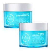 청정미인 히아루론 슈퍼아쿠아 수분크림, 200g, 2개