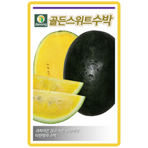 골든스위트수박씨앗 5립 채소종자 주말농장 망고수박 수박씨