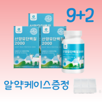 뉴신 루신 유신 류신 단백질 프로틴 알약 형태 산양유단백질 캡슐 알약 형태 정 정제 영양제 씹어먹는 단백질 bcca 알약