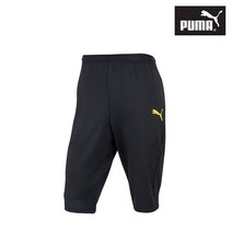 푸마 도르트문트 트레이닝 팬츠