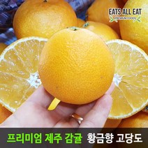 이츠올릿 제주 고당도 황금향 5kg 제주도 감귤 한라봉 천혜향 레드향 밀감 택배, 황금향_선물용 2kg 중소과 5-11과
