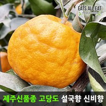 이츠올릿 고당도 제주 감귤 이영자 설국향 신비향 3kg 수라향 아스미 천혜향 레드향 신품종, 설국향 정품 5kg