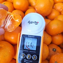 타이벡감귤 타이백감귤 효돈감귤 3kg 5kg 10kg 제주 산지직송, 프리미엄과