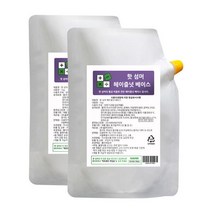 아트박스/메가커피 핫 섬머 헤이즐넛 베이스 소스 1kg 2개세트, 본품