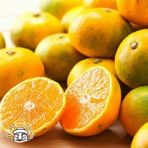 서귀포 하례마을 하우스감귤 3kg (꼬마과 60과 내외 실중량), 단품
