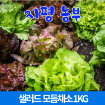 [샐러드야채산지직송] [물맑은 양평] 지평 농부 샐러드 모듬채소(1kg)