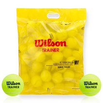 윌슨 트레이너볼 연습구 테니스공 60개입 입문자, 1개