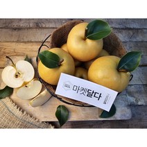 가정용 나주배 흡집 기스배, 가정용 나주배 3kg(6-9과), 1개