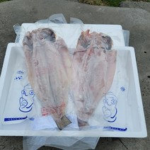 제주도 특산물 반건조민어 반건조 생선 민어 제수용 특대 800g 1.2kg 2마리 3마리