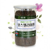 보스웰리아환 400g 정든팜 밀폐통 인도산 보스웰리아, 상세페이지 참조, 단품