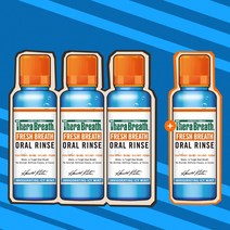 테라브레스 프레시브레스 휴대용 아이시민트향 가글 미니사이즈, 150ml, 4개