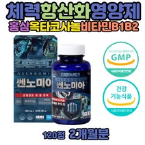 판토텐산 나이아신 수용성 필수 비타민 비타민B12 효능 엽산 아연 비타민B6 고함량 비타민B B군 영양제 결핍 복합체 고용량 비타민BCD 하루권장량 군인 수험생 비타민비12 비타민BC 남자 남성 피로 비타민B1 비타민B가부족하면 VITAMINB12