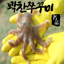 어부언니 쭈꾸미 생물 산지직송 국내산 알베기 알 활 당일발송 토요일 도착, 쭈꾸미5kg