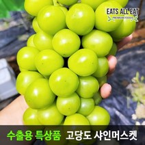 이츠올릿 프리미엄 김천 샤인 머스켓 특품 2수 1kg 상주 영동 씨없는 청포도 머스캣, 샤인머스캣 2수 1kg