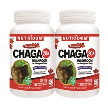 (2병) 뉴트리돔 20배 농축 차가 버섯 분말 가루 파우더 500mg | 120 식물성캡슐 | 캐나다 직구 영양제 by 카포리아