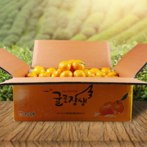 제주 제철 감귤3kg 5kg 10kg, 05. 감귤 5kg / 소과 S,2S (한입)