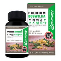 관절연골 보스웰리아 추출분말 60정 보스웰릭산 보스웰리아환 비타민D 상어연골분말 초롱잎홍합분말 해조칼슘 아연 뼈 무릎 손목 보스웰리아효능 관절보스웰리아 보스웰리아 파는곳, 180정, 1000mgx60정