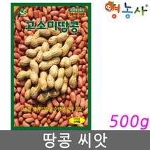 고소미 땅콩 씨앗 대용량 500g, 땅콩500g(중포장)