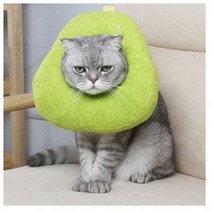 정글몬스터 강아지 고양이 아보카도 넥카라 S, 2개